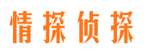 安吉私家侦探公司